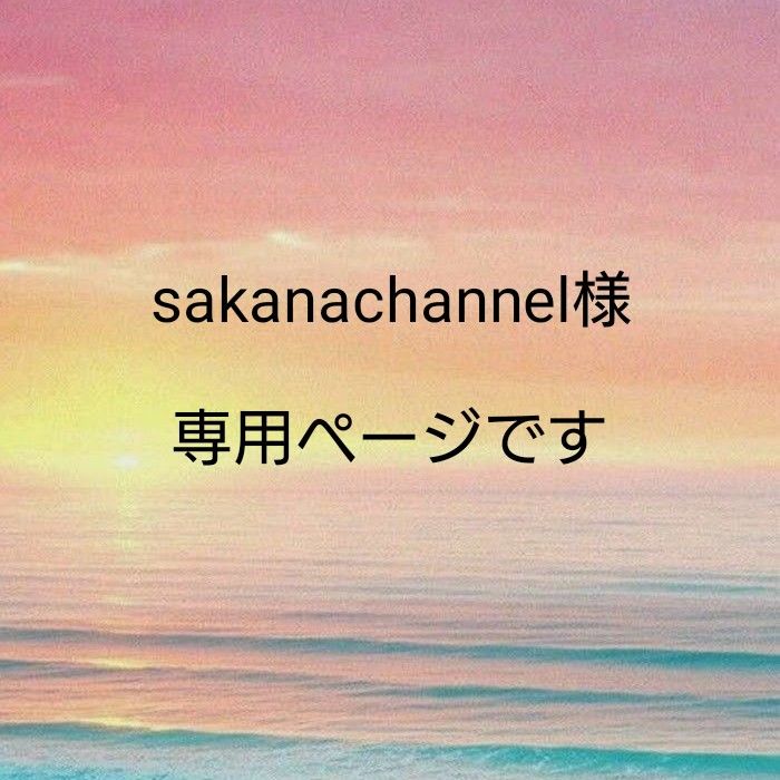 sakanachannel様専用ページです