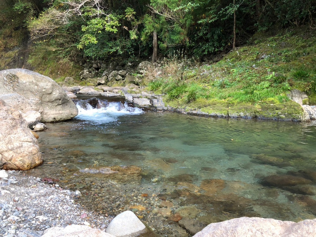 高知産 ★土佐の清流★ 天然鮎_捕獲場所、周辺です。