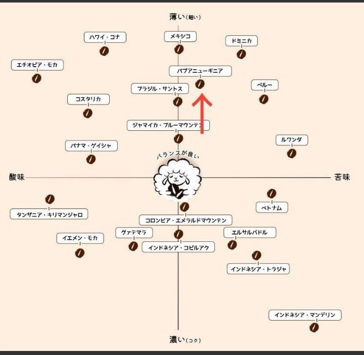 こだわり珈琲豆　パプアニューギニアA　 オーガニック　500g　中深煎り 自家焙煎