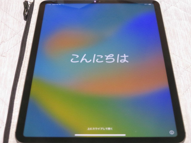 パーティを彩るご馳走や 中古 11インチiPad Pro(第3世代) SIMフリー Wi