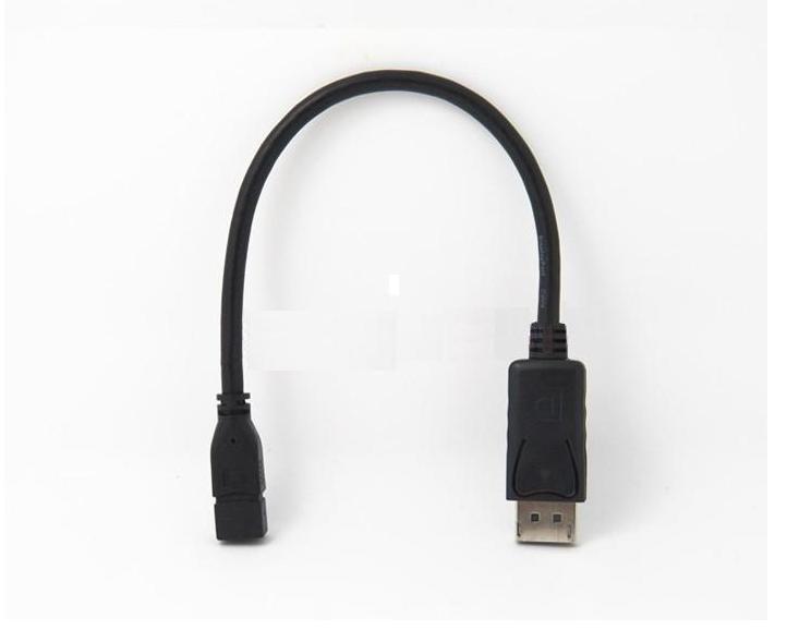 DisplayPort to Mini DisplayPort 変換ケーブル 変換アダプタ DP-Mini DP オス－メス 28cm_画像2