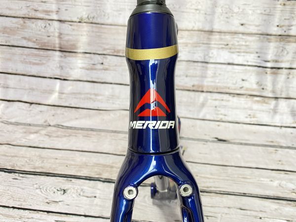 新品 2018年 MERIDA REACTO TEAM Eフレーム サイズ50 BAHRAIN 新品 2018年 MERIDA REACTO TEAM Eフレーム サイズ50 BAHRAIN