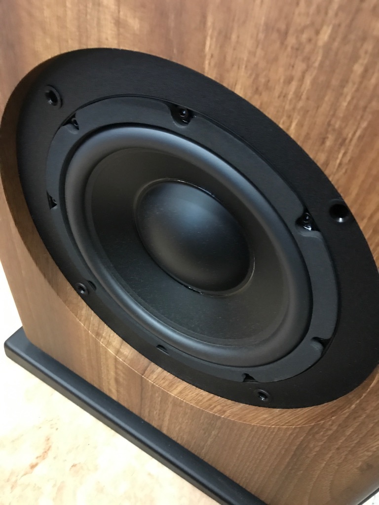 audio pro speaker AVANTO FS-20 pair used beautiful goods : Real 