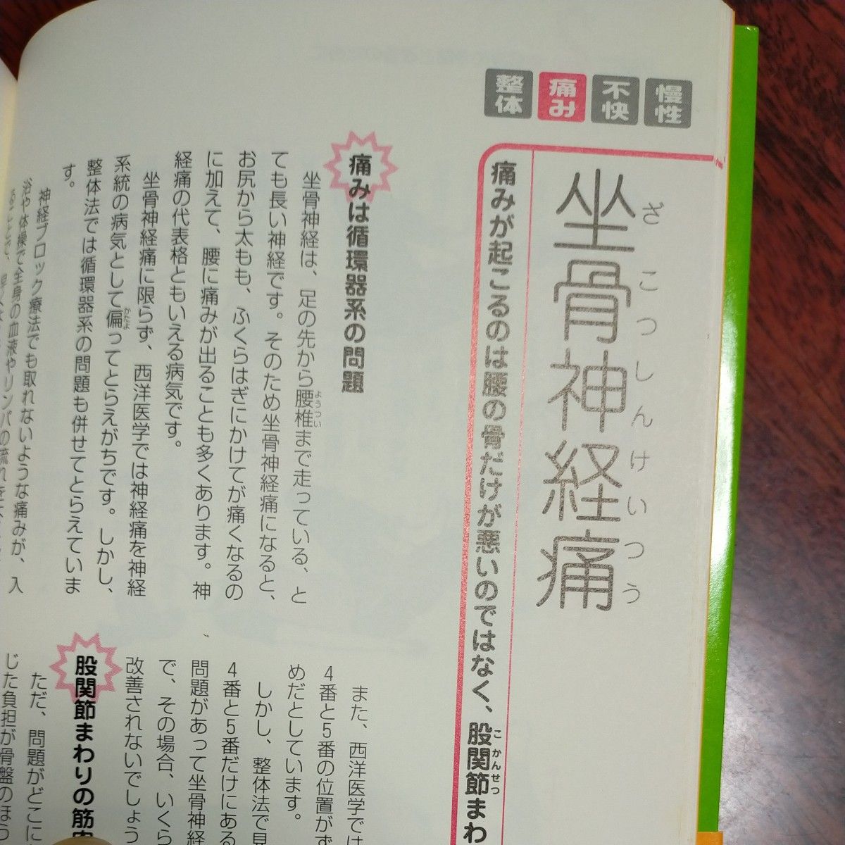 自分でできるかんたん整体法　「痛み」や「不快な症状」を解消！ （「痛み」や「不快な症状」を解消！） 井本邦昭／著