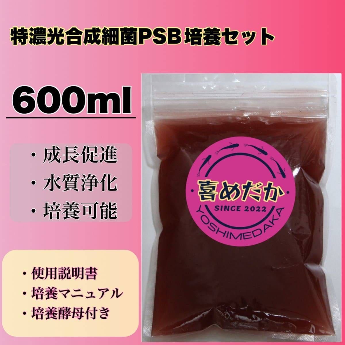 ★培養セット★特濃光合成細菌PSB600ml 喜めだか バクテリア メダカ めだか 卵 金魚 稚魚 針子 ゾウリムシ クロレラ ミジンコ 熱帯魚_画像1