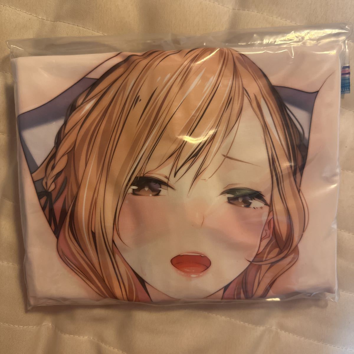 正規品】にほん女子校生ずかん 天三月先生描き下ろし SNSで知り合った