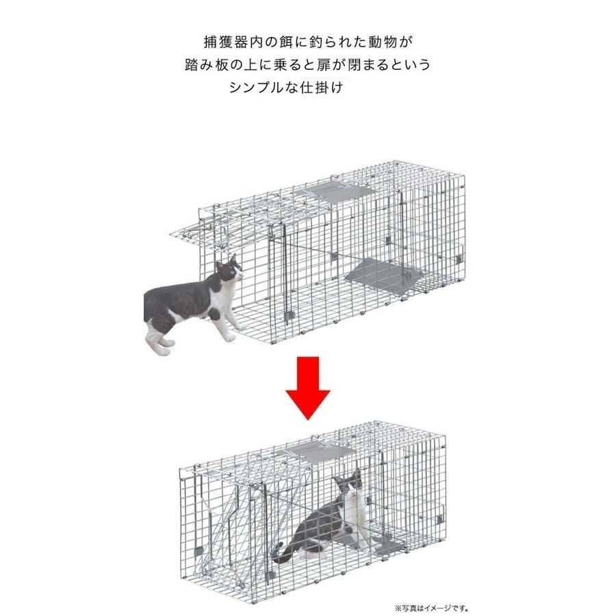 捕獲器 猫 アニマルトラップ トラップ 【LLサイズ】 駆除 捕獲 踏板式 捕獲機 動物 罠 保護 庭 農業 アニマルキャッチャー LB-201_画像3