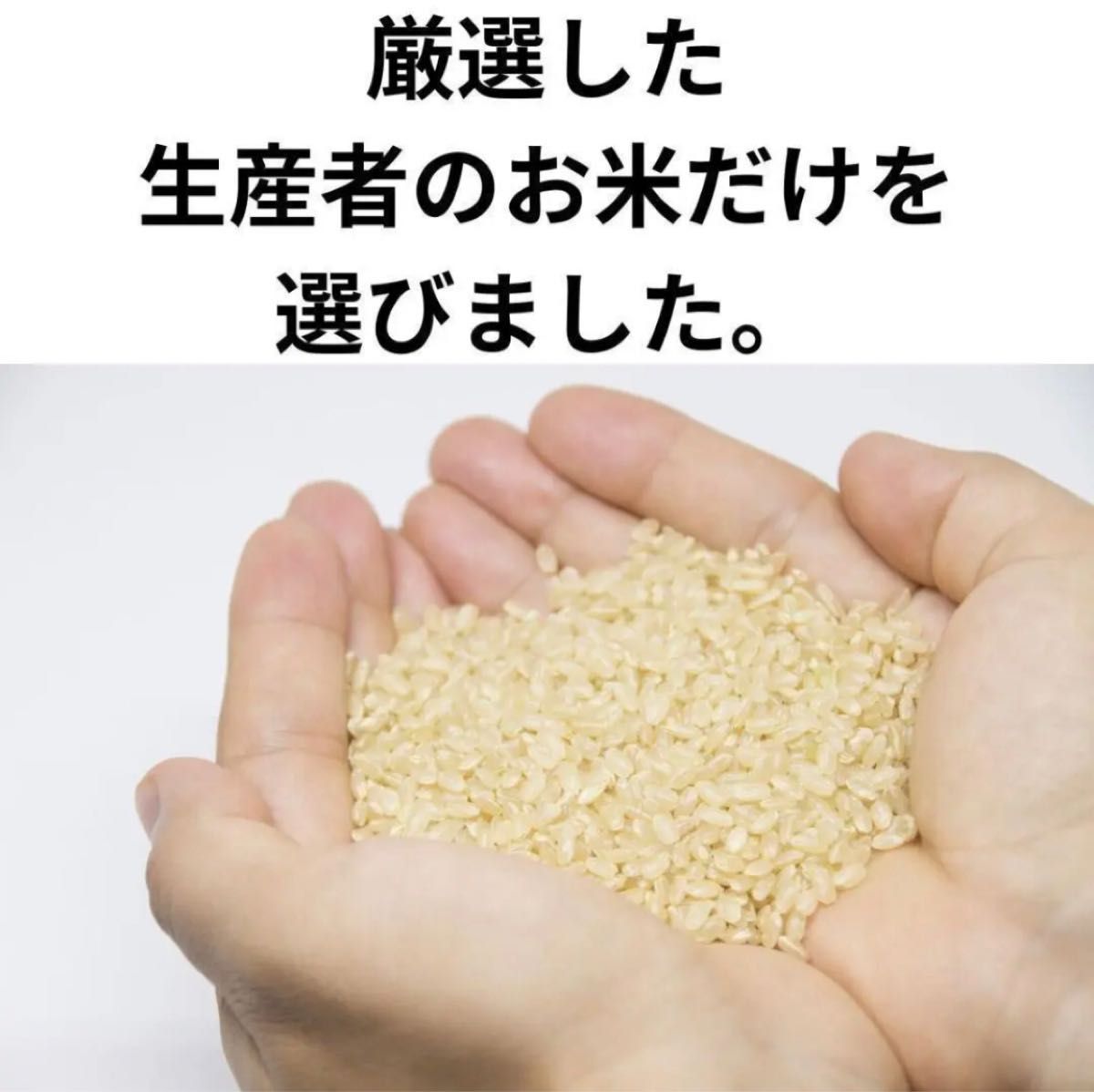 令和５年 新米 千葉県産「粒すけ」２４.５Kg 体に優しい減農薬米 農家直送-