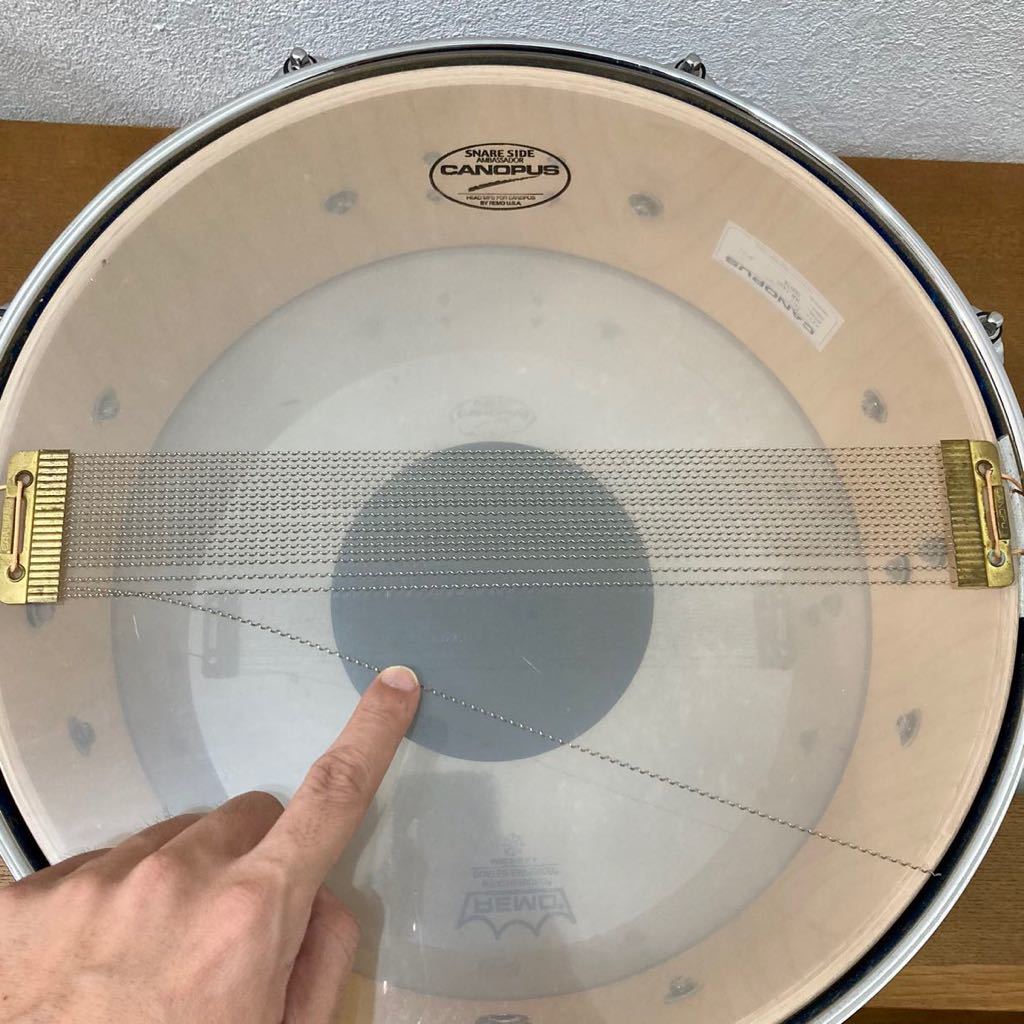 CANOPUS カノウプス Birch BR-1455 ソフトケース付き スネアドラム