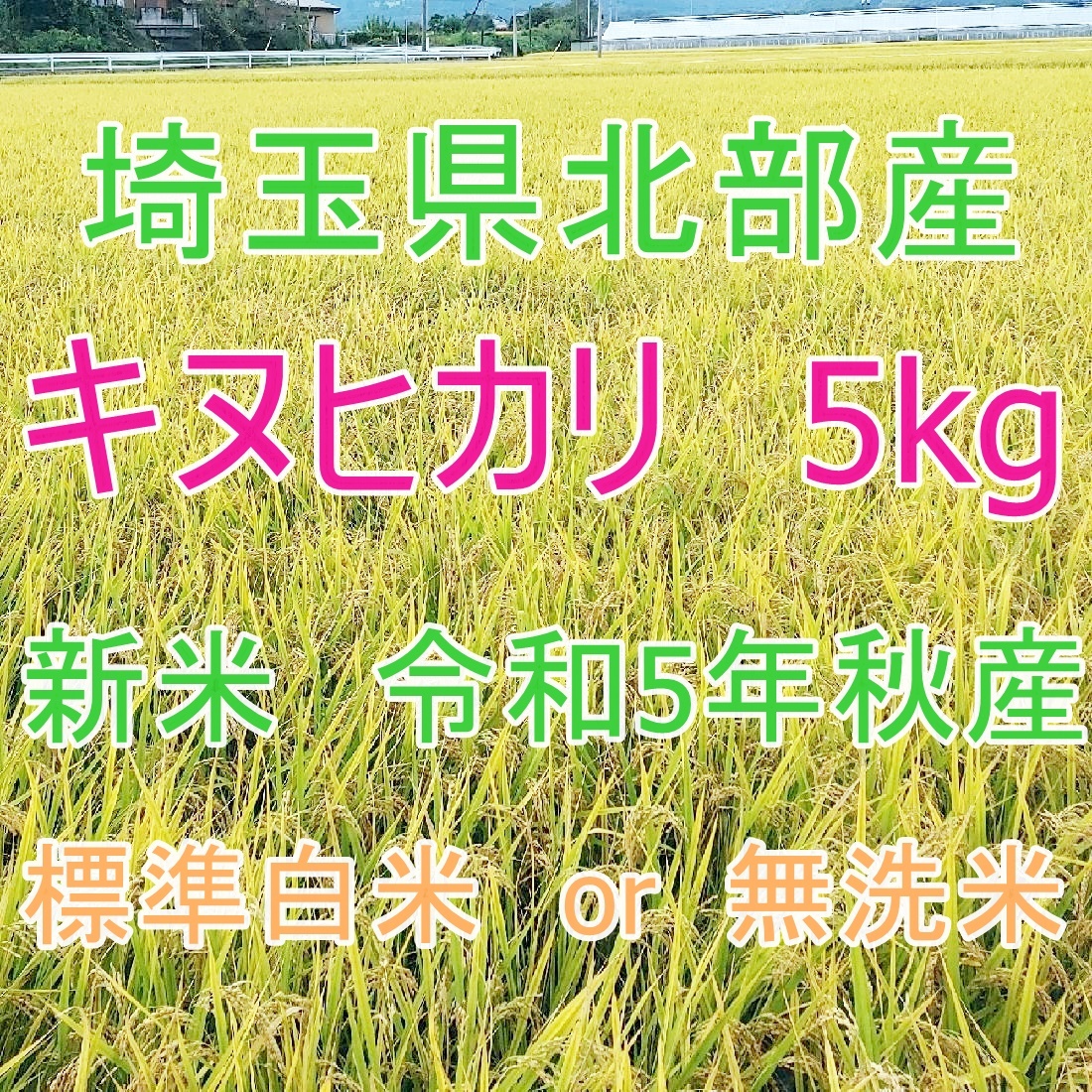 埼玉県北部産　 キヌヒカリ　5kg 標準白米 or 無洗米_画像1