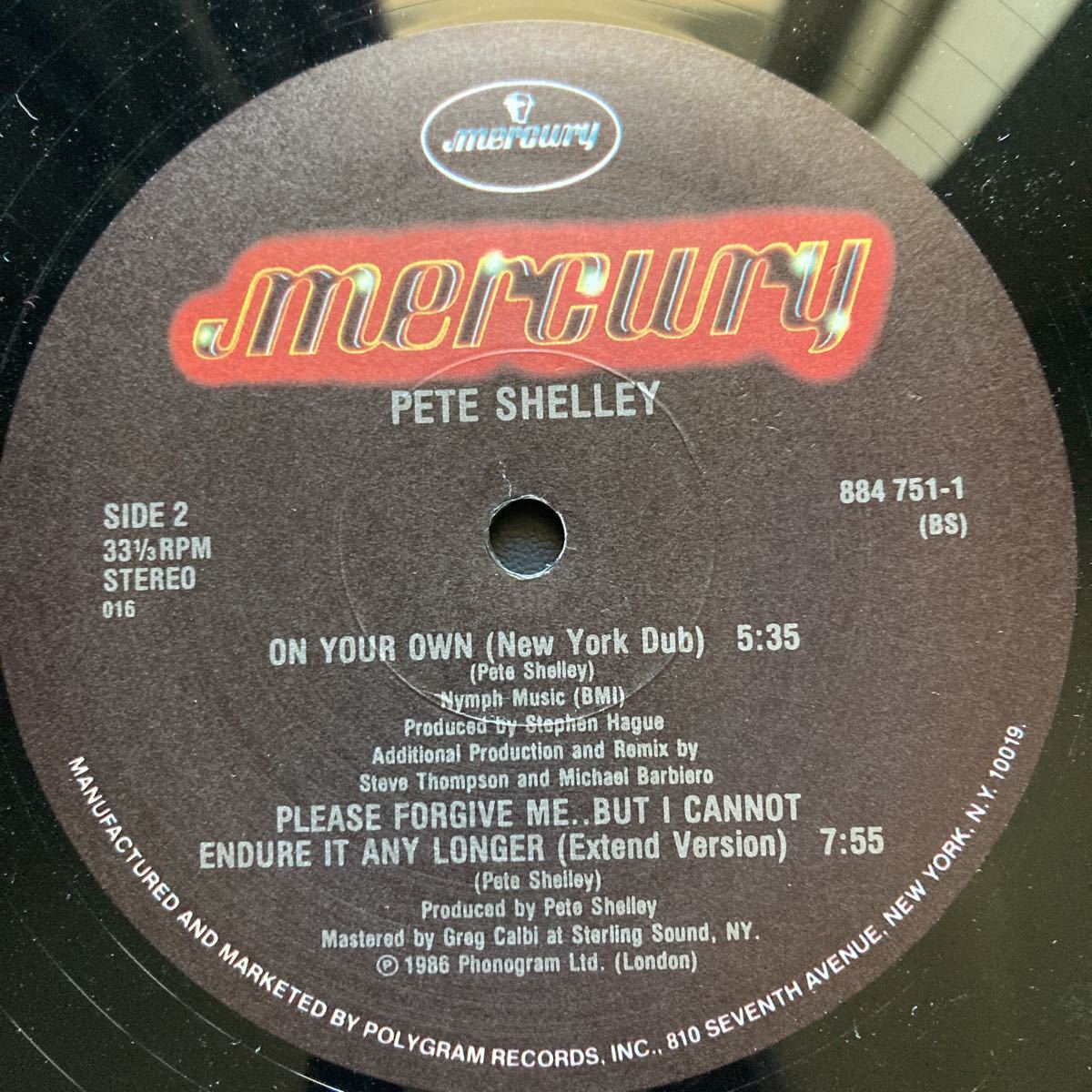 12inch PETE SHELLEY / ON YOUR OWN_画像8
