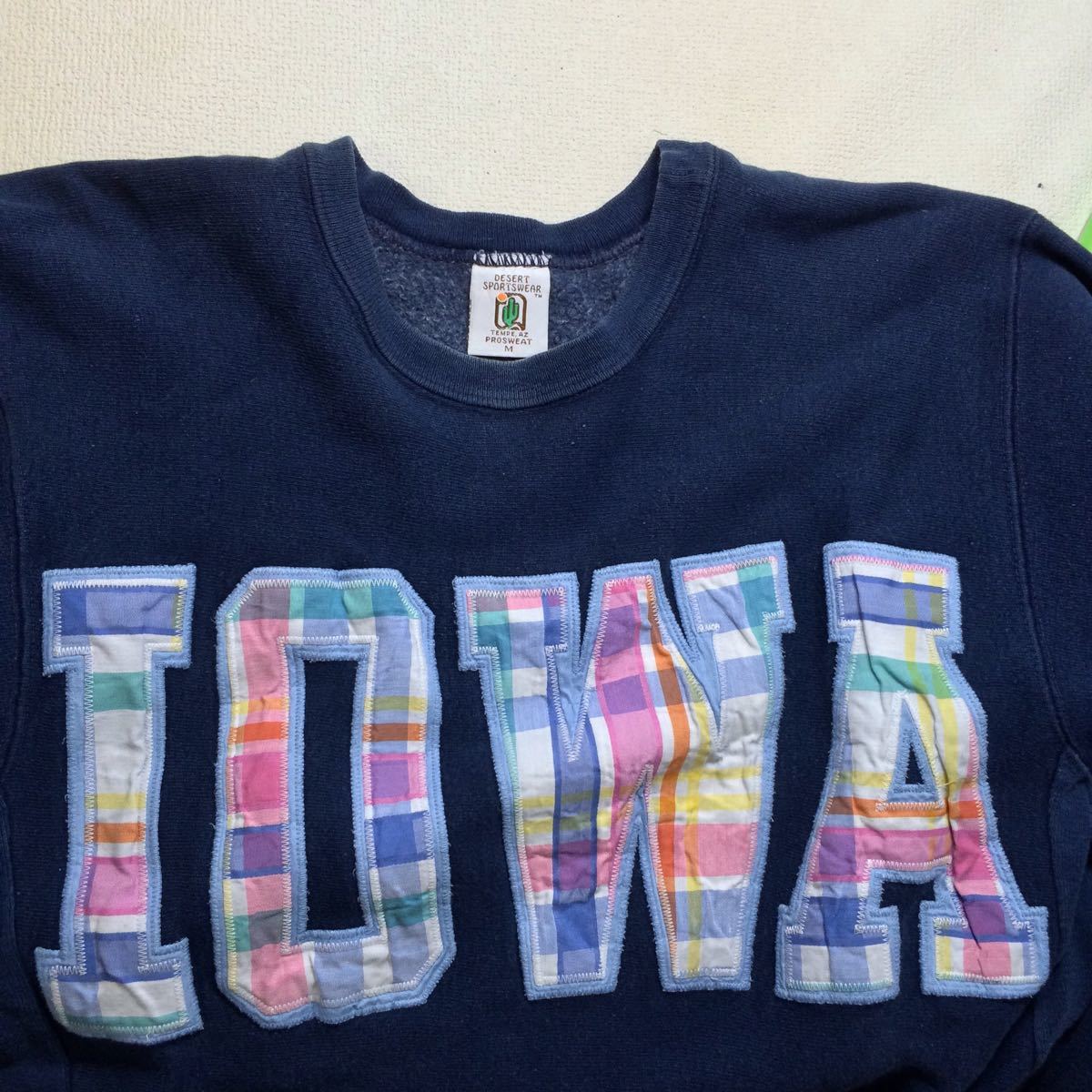 Iowa/DesertSportswearビンテージスウェットシャツ(アメリカ製)