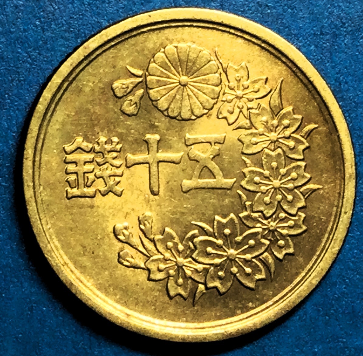2185 [ ultimate beautiful goods ] Showa era 23 year small size 50 sen yellow copper coin 