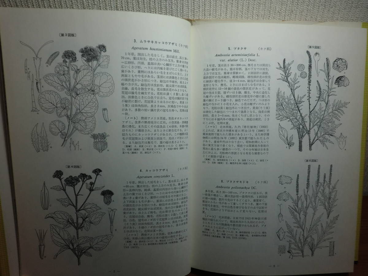 1801003M07*ky Japan .. plant illustrated reference book length rice field . regular work north . pavilion Showa era 47 year out . kind map . map version 477 point publication 