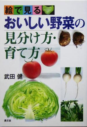 絵で見る　おいしい野菜の見分け方・育て方／武田健(著者)_画像1