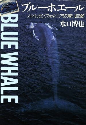 ブルーホエール バハ・カリフォルニアの青い巨鯨／水口博也(著者)_画像1
