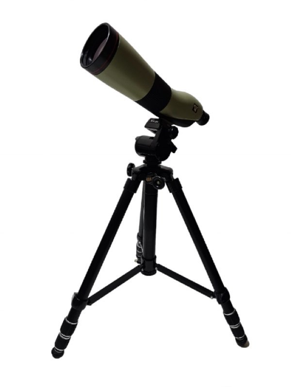 Nikon ニコン フィールドスコープ ED 望遠鏡 地上望遠鏡 単眼鏡 三脚 天体観測
