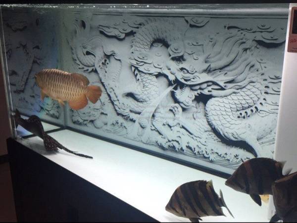 3D　ドラゴン　ホワイト　ＰＶＣ　バックスクリーン　122 x 50cm　龍　アロワナ　大型魚　オーバフロー　辰　120ｃｍ水槽　アクリル_画像3