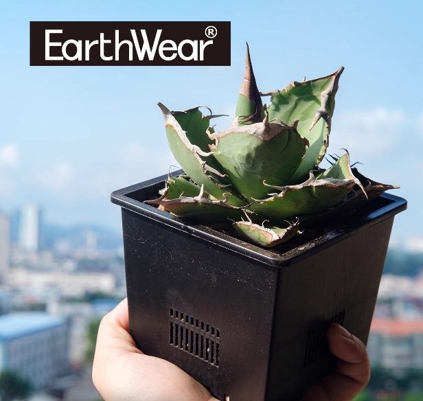 [新品]EARTHWEAR Drain Smart Pot S12 Black 10個セット 多肉食物 コーデックス アガベ パキポディウム プラ鉢 プレステラ スリット鉢_画像1