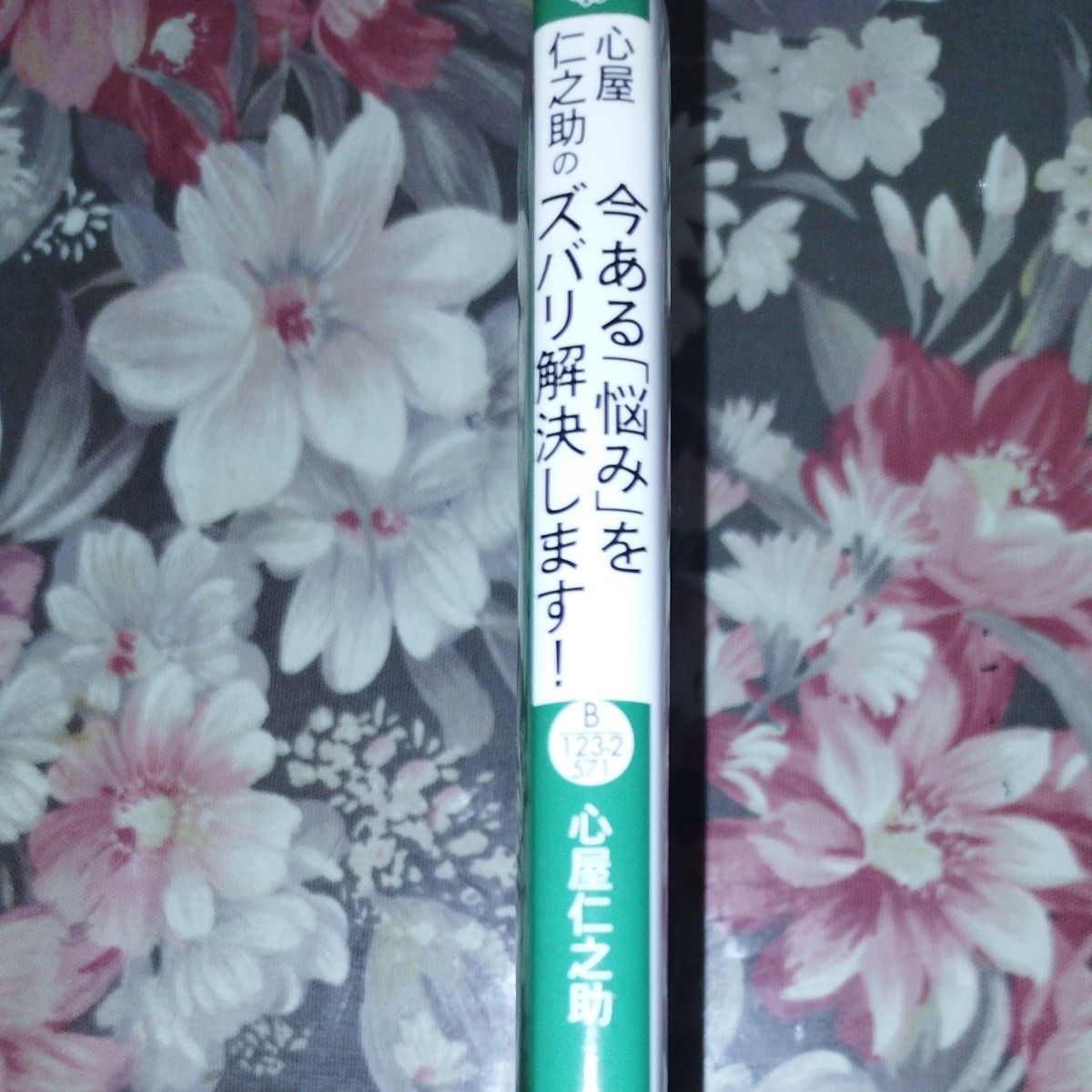 心屋仁之助の今ある「悩み」をズバリ解決します！ （王様文庫　Ｂ１２３－２） 心屋仁之助／著