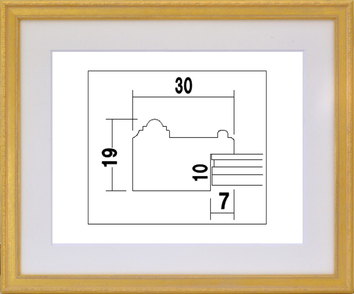 水彩用額縁 UVカットアクリル付 8226 F6号 ゴールド 金_画像1