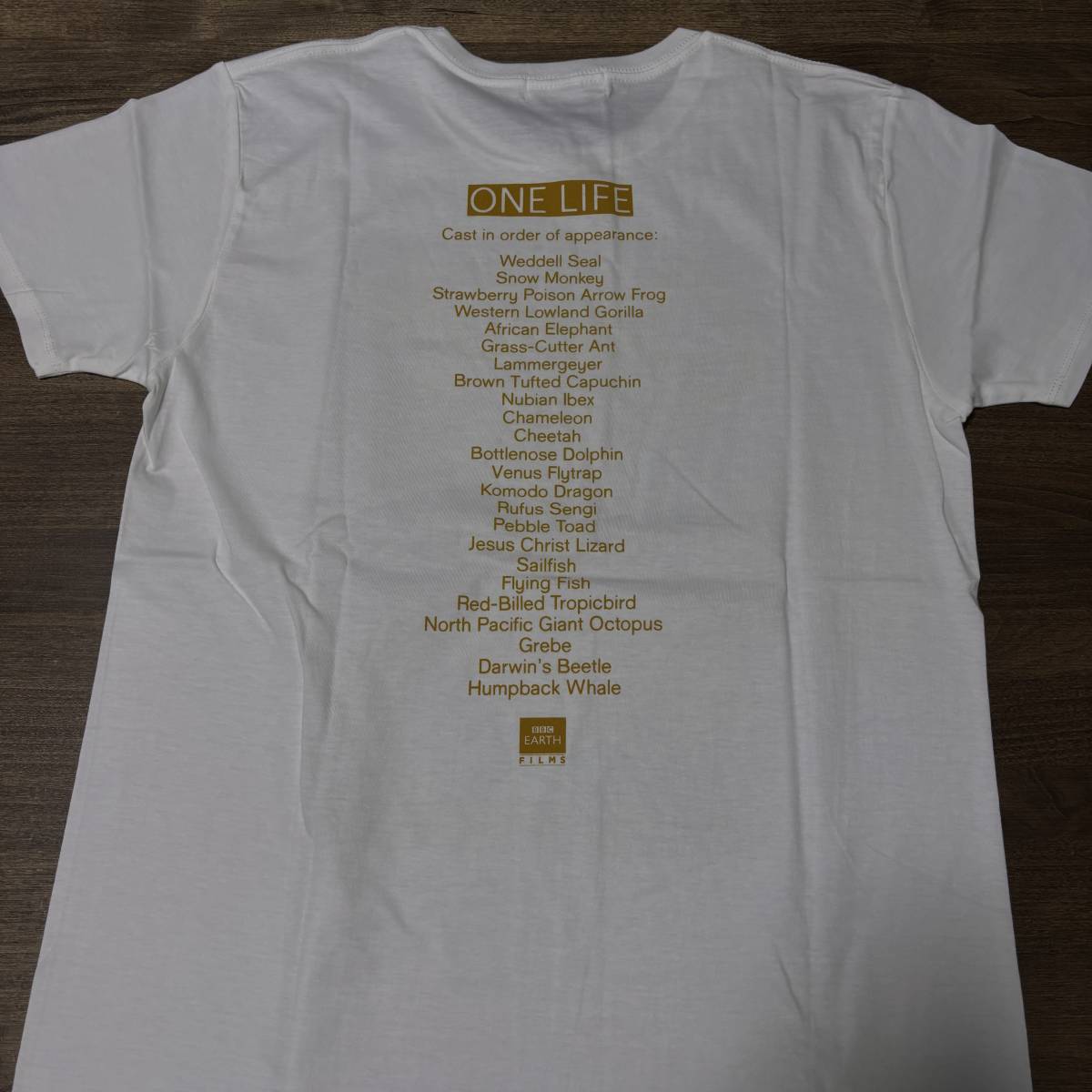 ◎BEAMS BBC キム・ジョーンズ ライフ Ｔシャツ Kim Jones presents One Life TEE shirt_画像3
