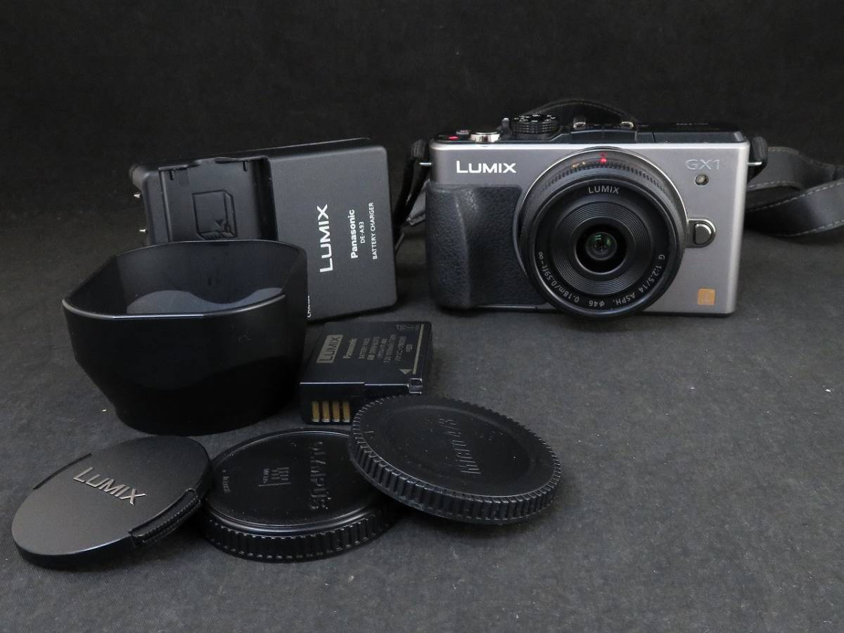 上品な Panasonic LUMIX DMC-GX1 ミラーレス一眼カメラ レンズ