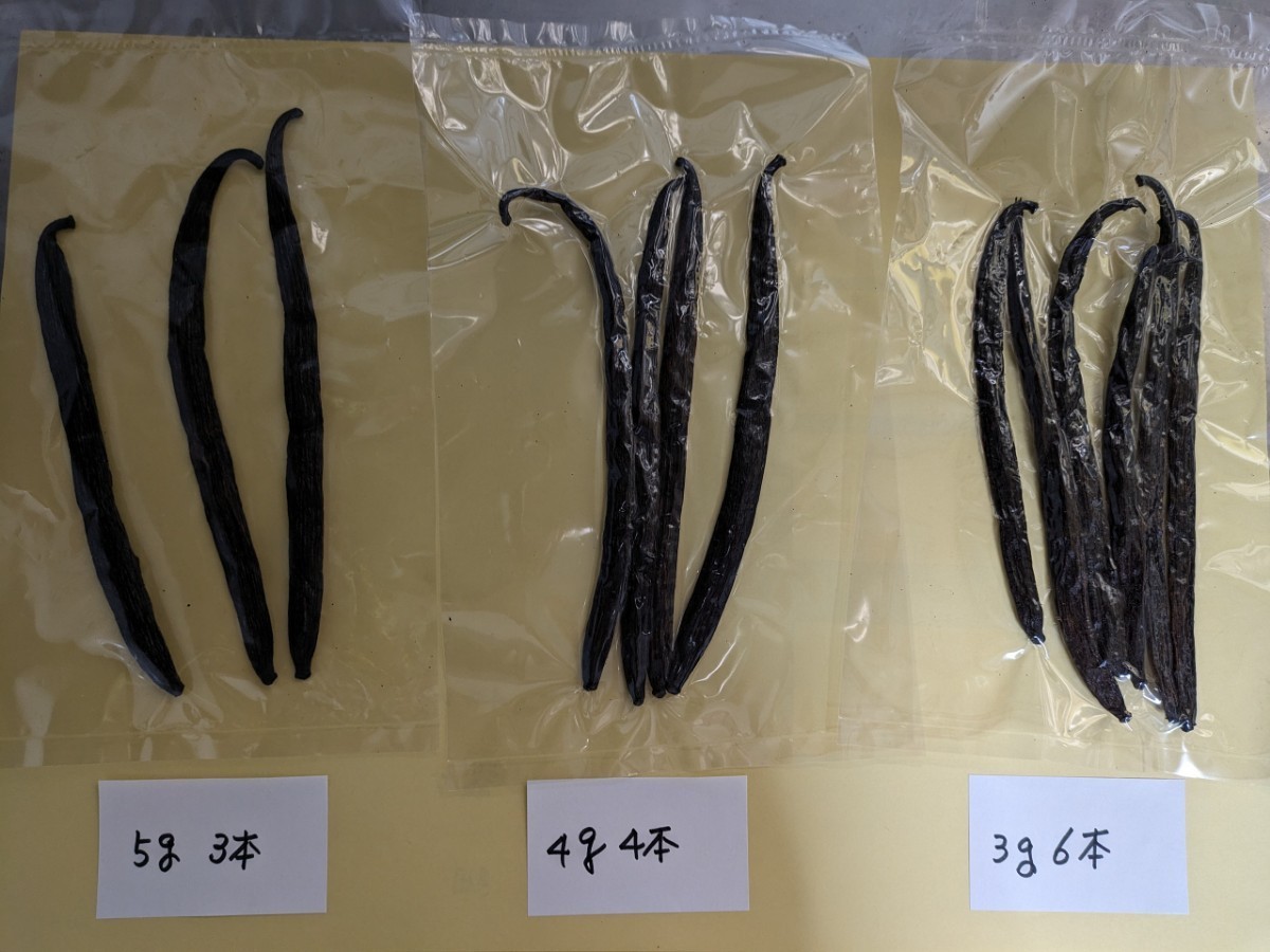 u gun da production vanilla beans brubon kind S grade 15 gram (5 gram 3 pcs insertion ) rare 