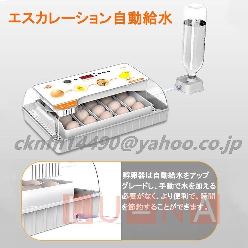 初売り】 入卵20個 検卵ライト 大容量 インキュベーター 自動孵卵器 新