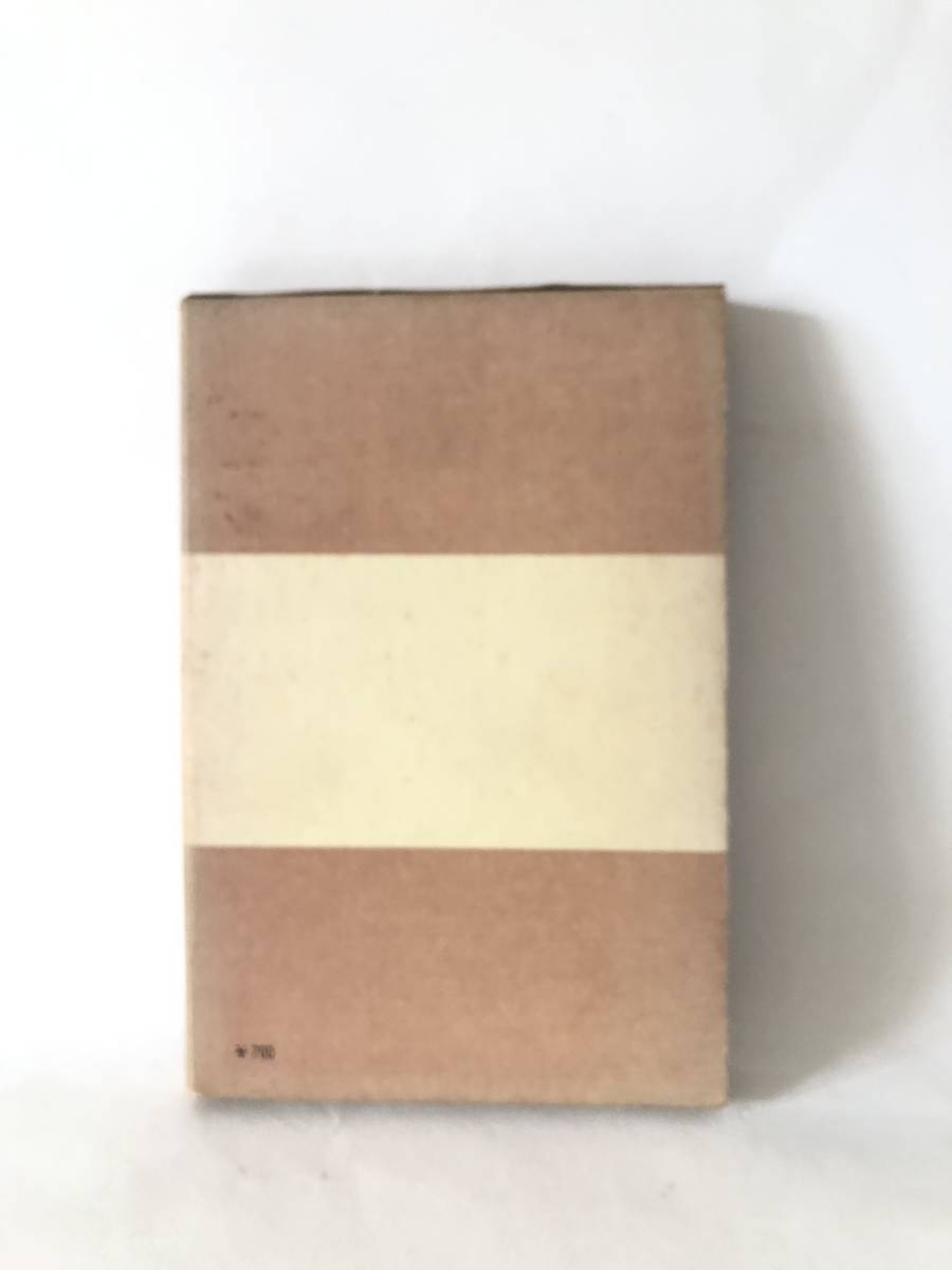 サンスクリット文学史 辻直四朗著 岩波全書 岩波書店 1973年発行 函付 ヒンドゥー教系古典サンクリット文学最盛期の入門書 A16-01M_画像2