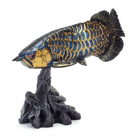 いきもの大図鑑ミニコレクション 古代魚 アジアアロワナ（藍底過背金龍）_画像1
