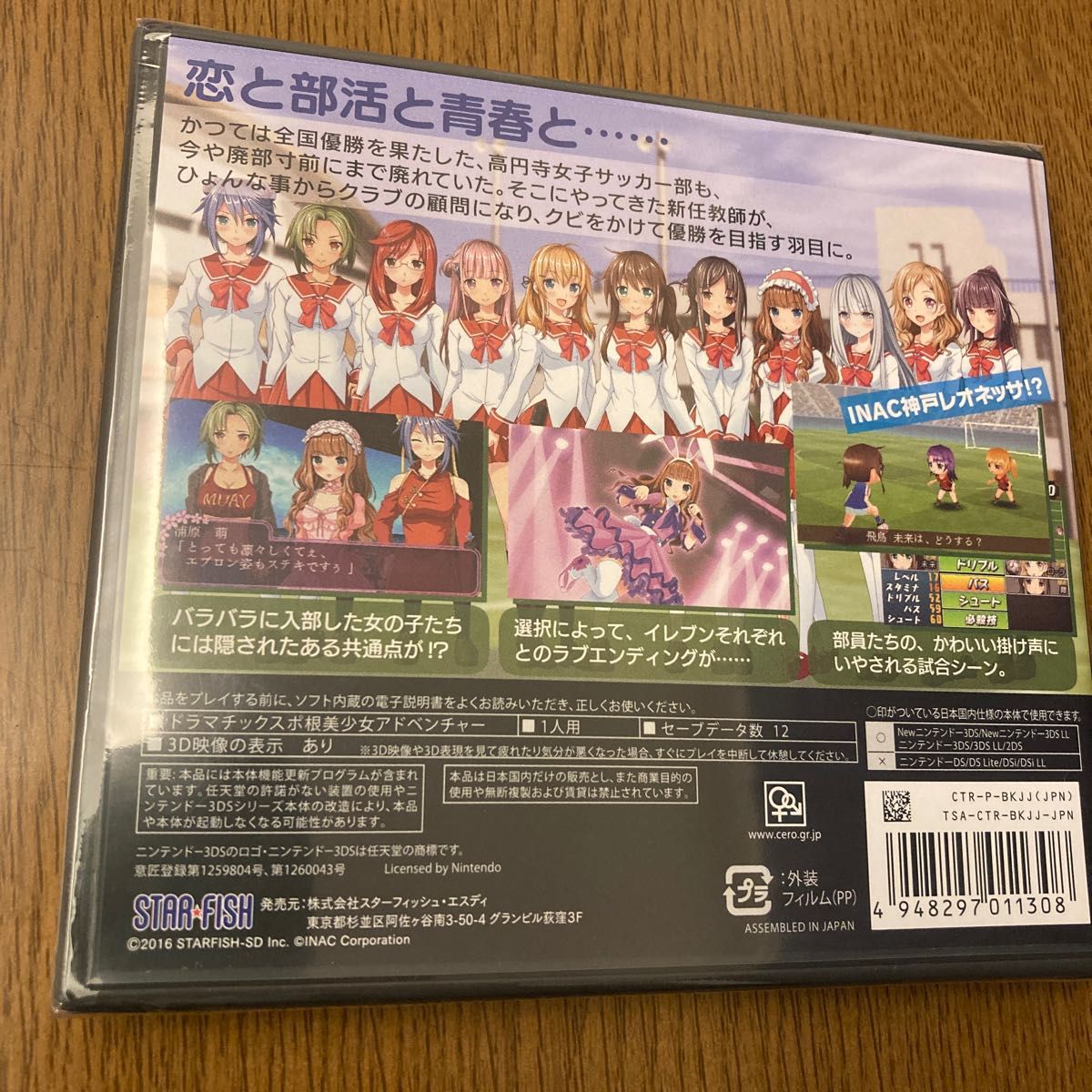 【3DS】 高円寺女子サッカー3 恋するイレブン いつかはヘブン