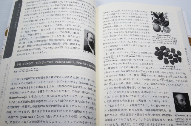 ホメオパシーと錬金術 自然が示すサインを読み解く知恵 大槻 真一郎遺稿集 基本レメディの特徴表示 素レメディの特徴表示_画像3