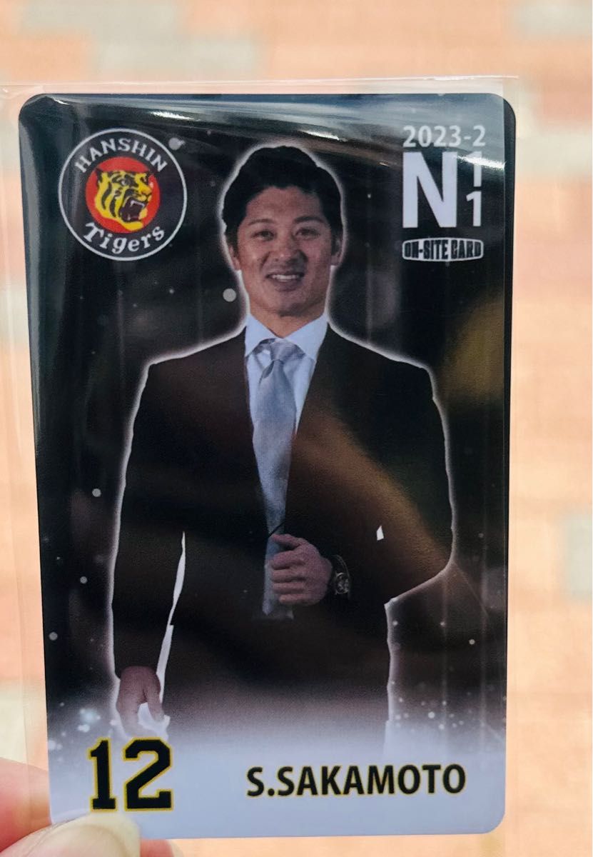 阪神タイガース オンサイトカード 坂本誠志郎 スーツ