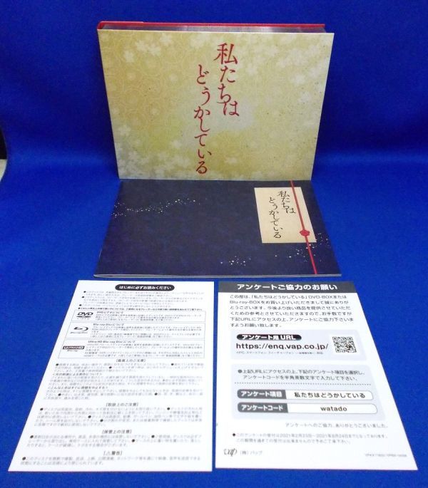 帯付 私たちはどうかしている DVD-BOX 5枚組 2021年 日本テレビ 水曜ドラマ 安藤なつみ 浜辺美波 横浜流星 高杉真宙 佐野史郎 観月ありさ