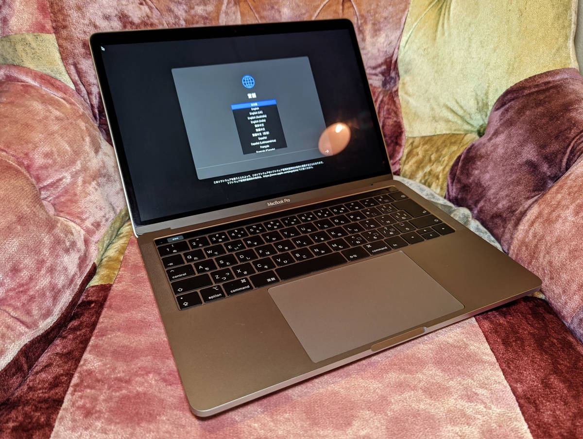 半額】 2019, 13-inch, Pro MacBook A2159 MUHN2J/A 充電放電回数46回