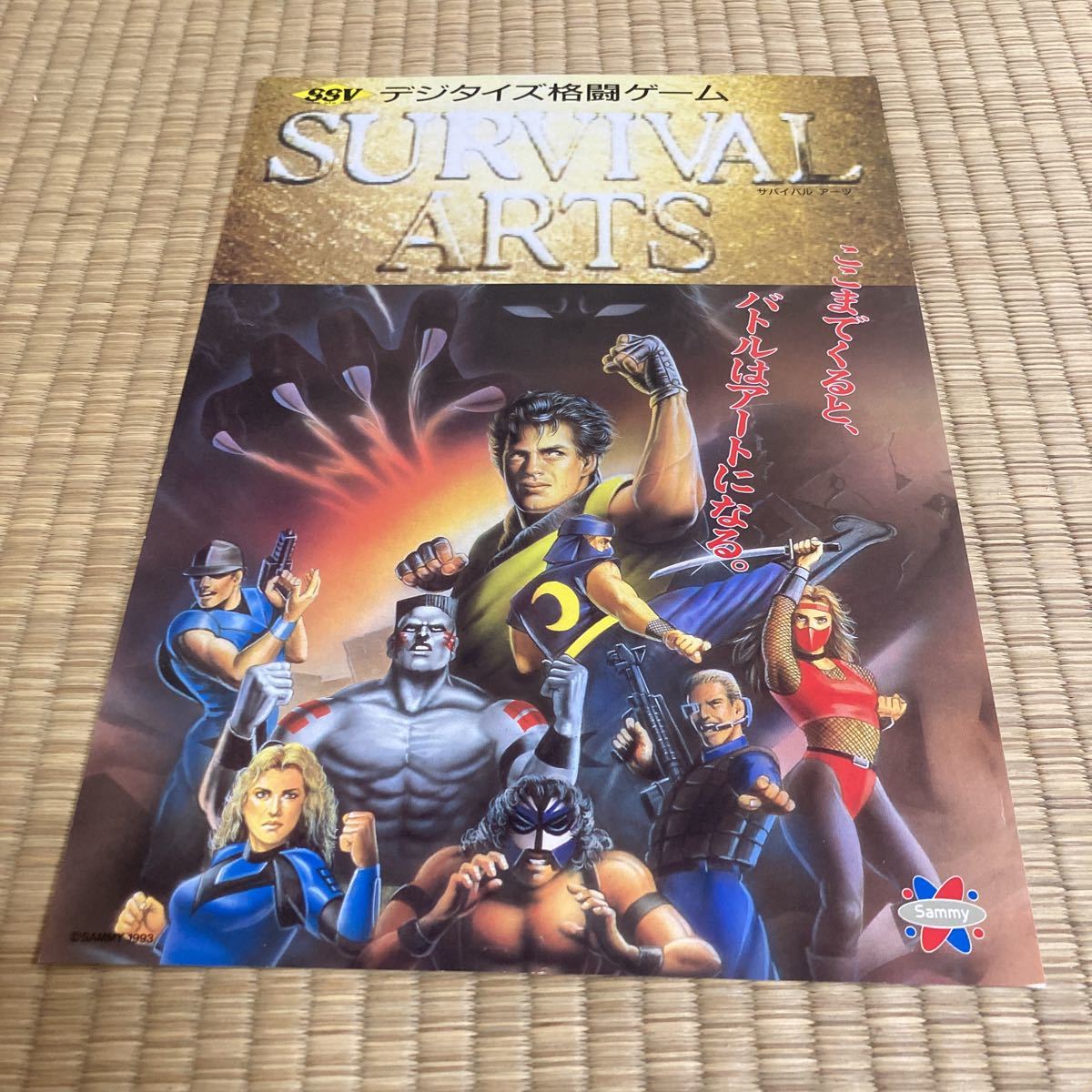サバイバルアーツ サミー アーケード チラシ カタログ サバイバルアーツ サミー アーケード チラシ カタログ