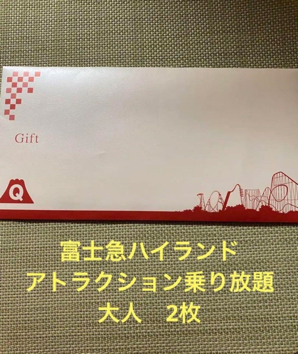 富士急ハイランド フリーパス 2名分 有効期限：2024年6月末 - 遊園地