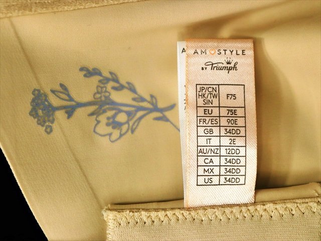 CA2-580＃//【23日～26日は休業日です】AMOSTYLE♪超グラマーなFサイズ♪バストに優しくフィット♪モールドカップの補正ブラ※★_画像5