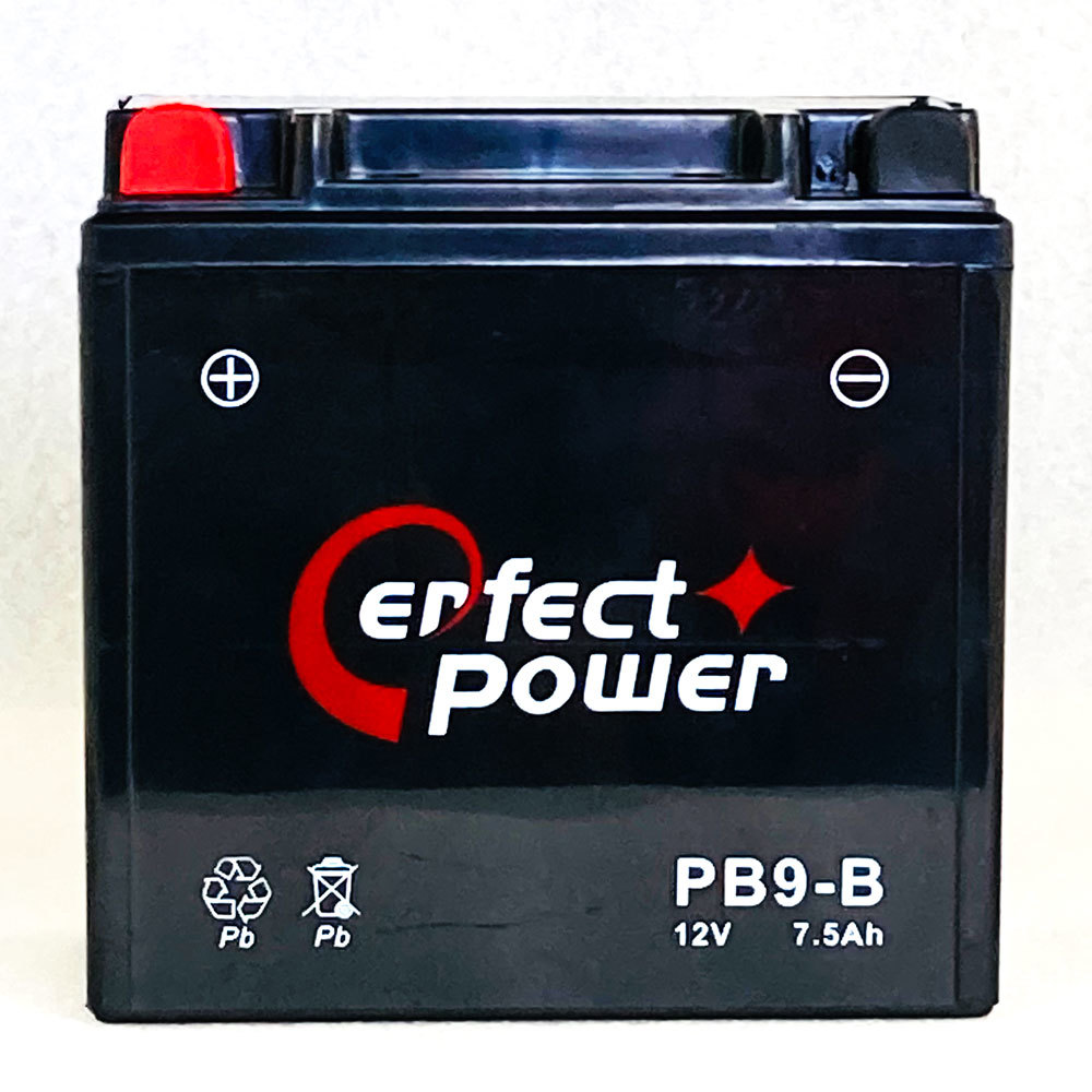 PERFECT POWER PB9-B MF バイクバッテリー初期充電済 【互換 ユアサ YB9-B FB9-B DB9-B GM9Z-4B】_画像2