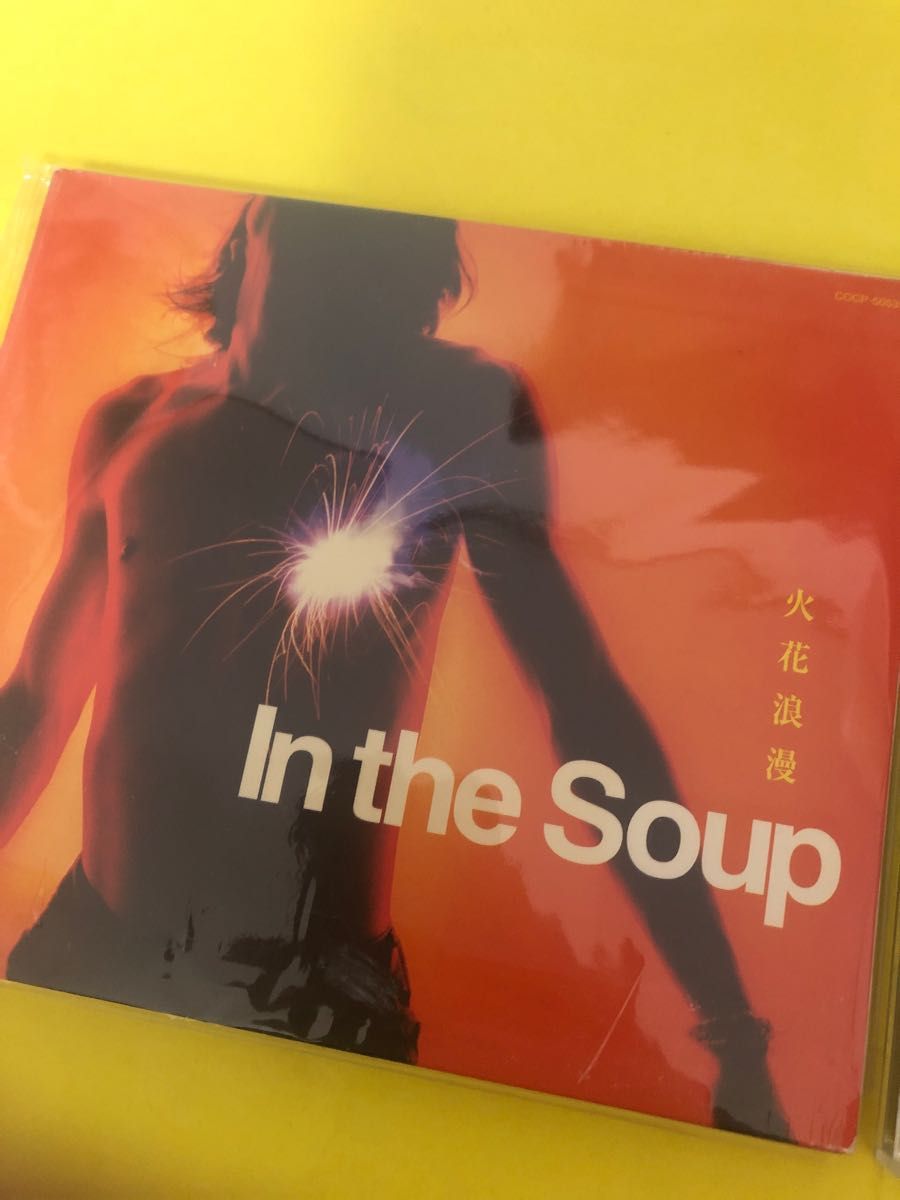 in the soup アルバム2枚