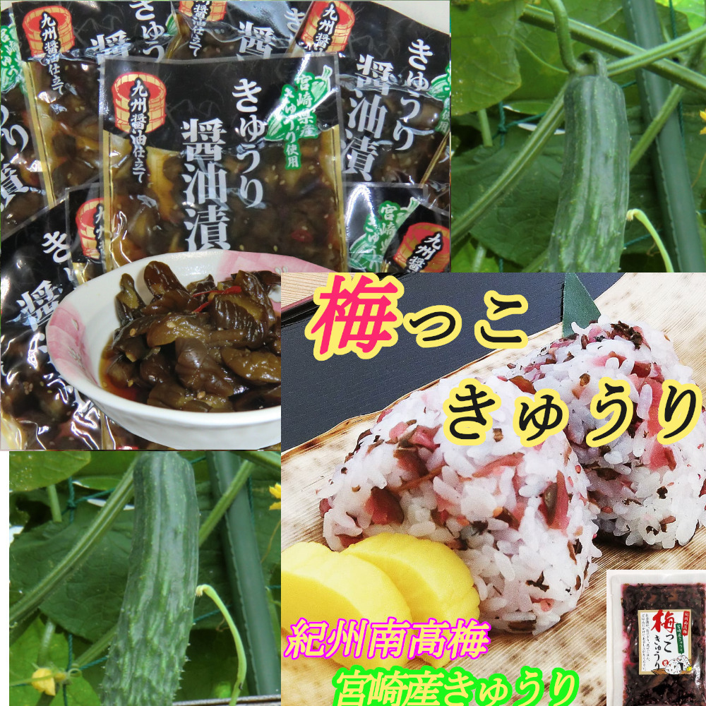 宮崎の美味しいおつけもの　きゅうり醤油漬100g×３袋　　梅っこきゅうり100g×３袋_画像2
