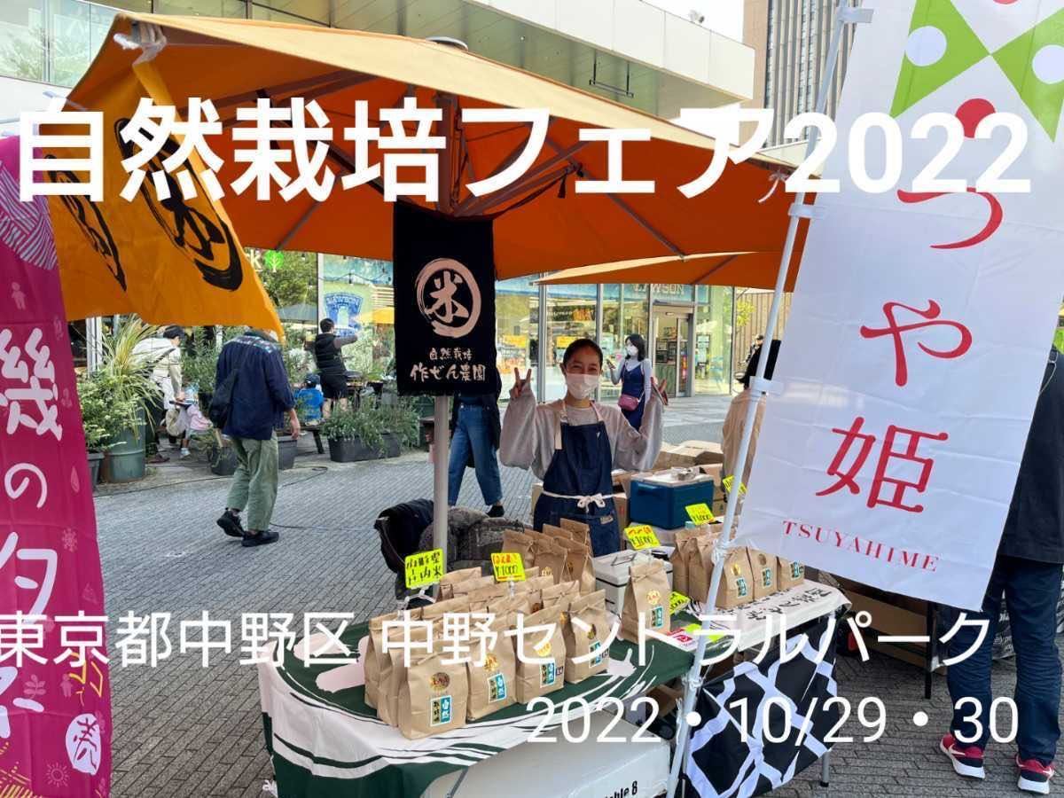 自然栽培米 でわのもち もち米 令和５年産 山形県産 庄内米 玄米 25kg(正味24.6kg)総重量24.9kg①_画像9