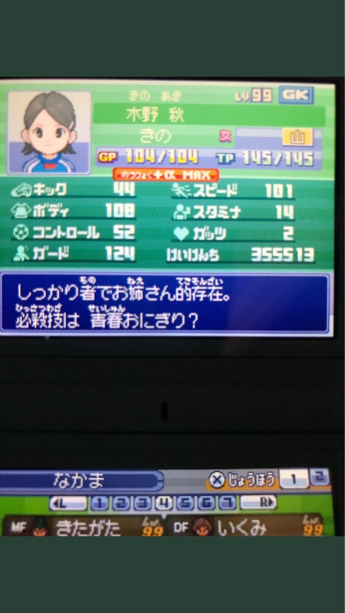イナズマイレブン3 オーガ 最強データ