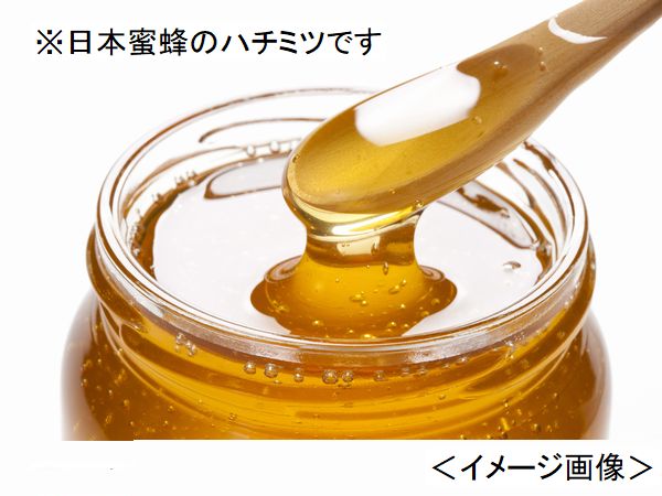 日本みつばちの ハチミツ　600ｇ瓶　４個セット 送料無料　令和５年９月採蜜　日本蜜蜂の蜂蜜　日本みつばちのはちみつ_イメージ画像