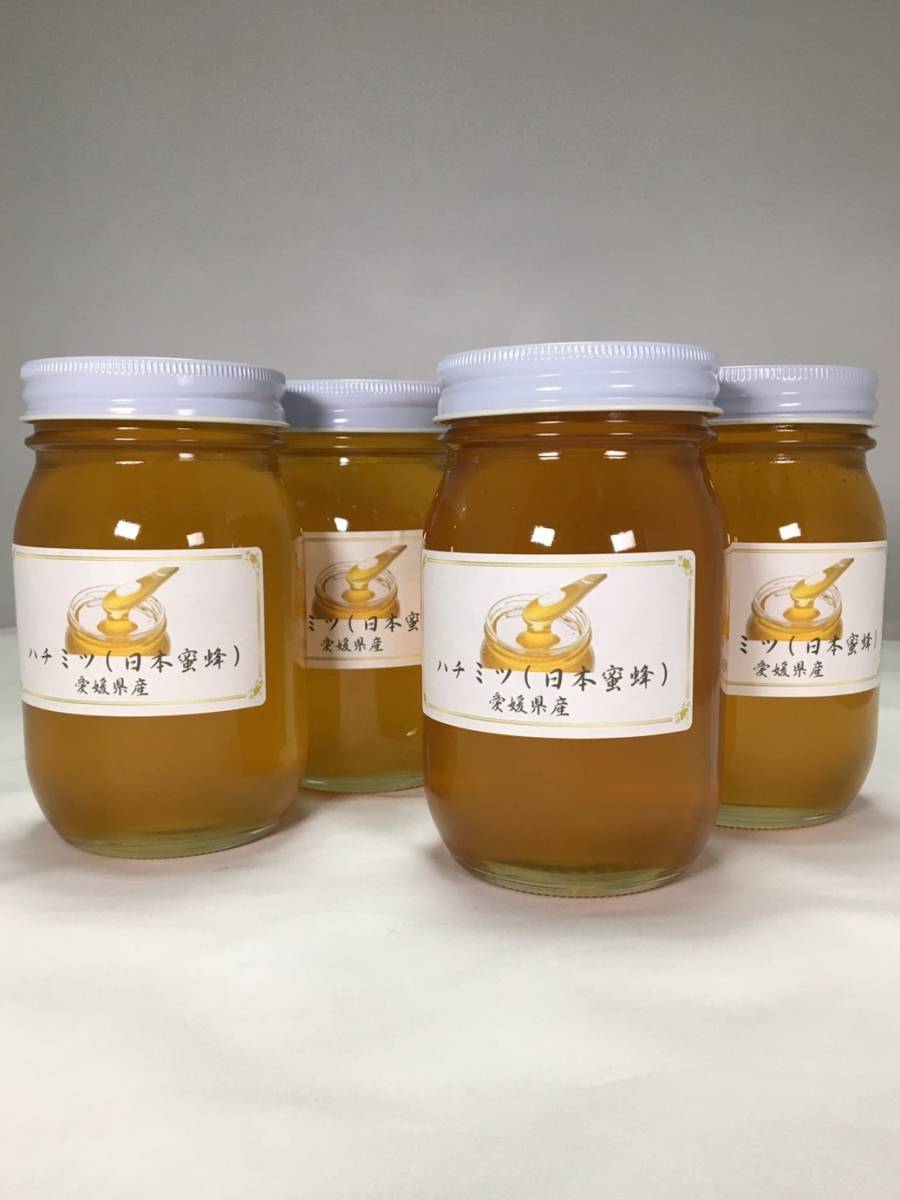 日本みつばちの ハチミツ　600ｇ瓶　４個セット 送料無料　令和５年９月採蜜　日本蜜蜂の蜂蜜　日本みつばちのはちみつ_画像1