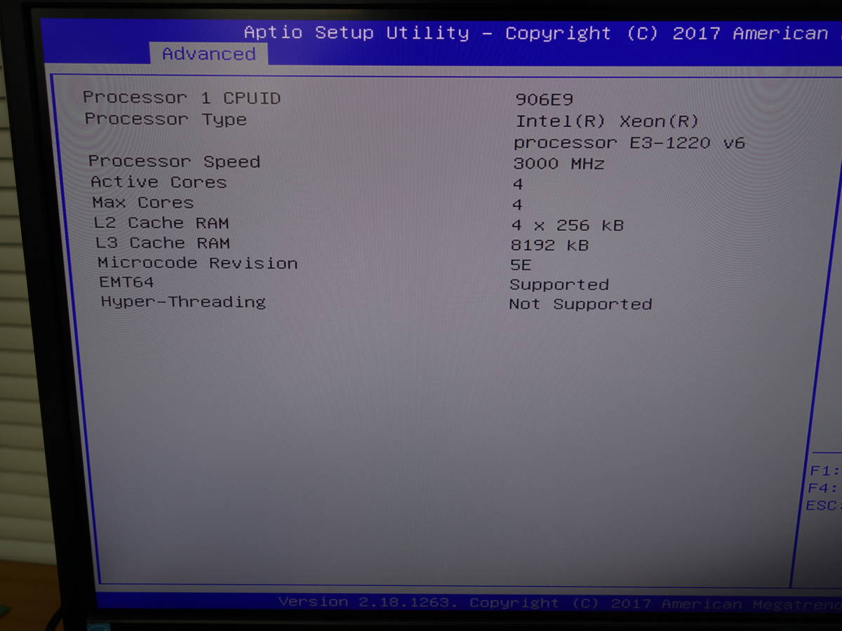 NEC　Express5800/T110i 【Xeon E3-1220V6】 【BIOS確認OK】 メモリ8GB/HDDなし/OSなし　中古 タワー型サーバ　【10日間保証】2_画像9