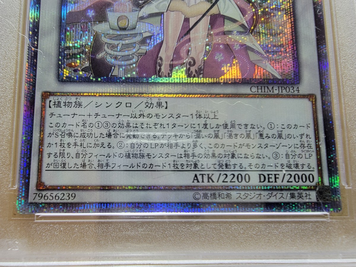PSA10 アロマセラフィースイートマジョラム 20thシークレット 遊戯王-