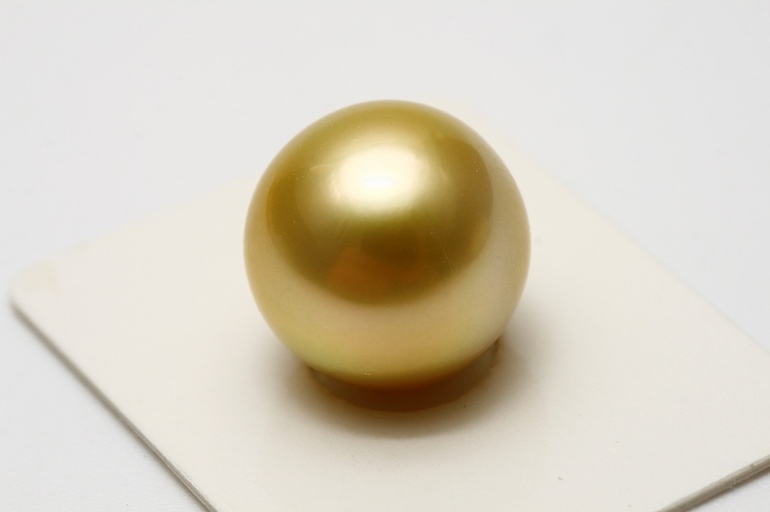 品質満点 南洋白蝶真珠パールルース 15mm ナチュラルゴールドカラー