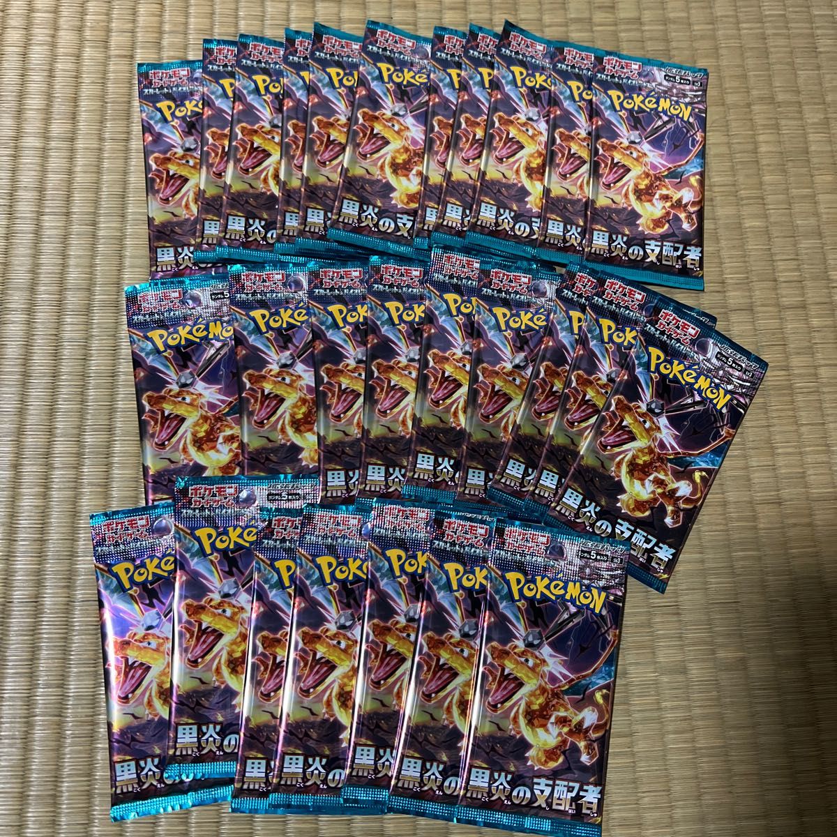 ポケカ151 黒鉛の支配者 レイジングサーフ サーチ済み-